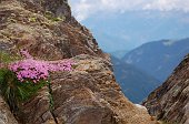 Salita al Rifugio Tagliaferri da Vilmaggiore per la Valle del Tino e il monte Tornone e Tornello il 10 luglio 2009 - FOTOGALLERY
